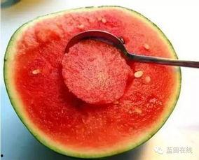 蓝田石门吃瓜,揭秘千年古石门背后的神秘吃瓜传说