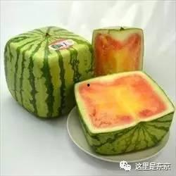 奢侈吃瓜,揭秘奢侈吃瓜背后的故事