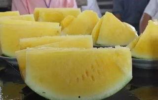 有瓜独吃,品味人生百态