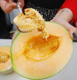 哈密瓜吃籽儿,营养与美味的双重享受