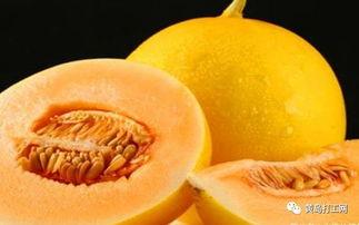 吃蜜瓜功效,健康生活新选择