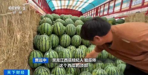 湘北吃瓜,揭秘校园里的那些事儿