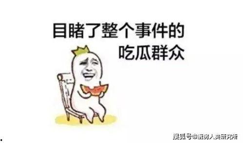 你们吃瓜,吃瓜群众揭秘明星幕后故事